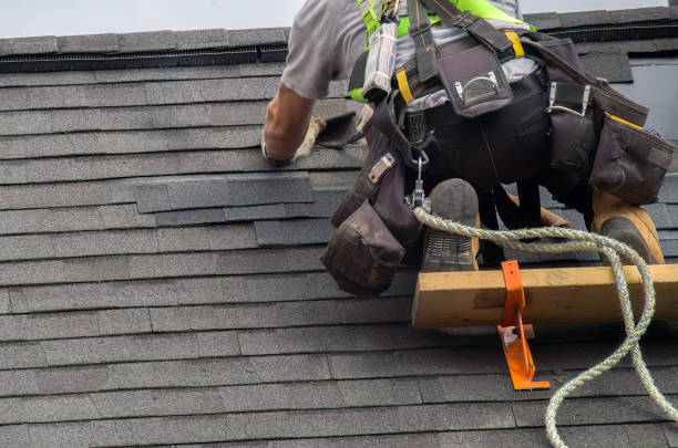 Roof Moss and Algae Removal in Arlington, NE